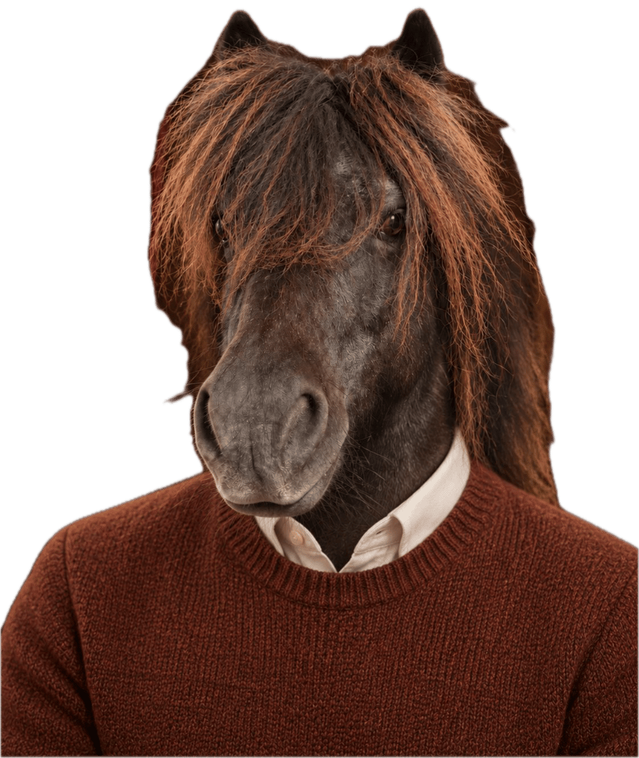 Jonas Neighberg: A dark pony with a long fringe in a rust jumper