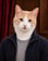Pia Lykkesen: A ginger and white cat in a navy zip jacket