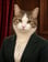Tilde Tabbington: A tabby and white cat in a dark green blazer